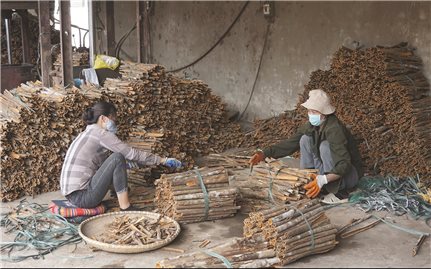 Bảo Thắng (Lào Cai): Dồn lực về đích huyện nông thôn mới