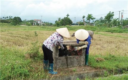 Quảng Ngãi: Nông dân tích cực bảo vệ môi trường