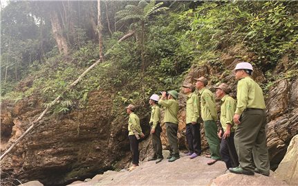 Bàn giao rừng từ doanh nghiệp sang Ban Quản lý rừng các huyện ở Lào Cai: Còn nhiều khó khăn