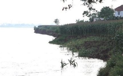 Chủ động ứng phó với mưa lũ, đặc biệt là lũ cao trên sông Thao