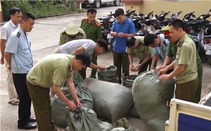 Lạng Sơn bắt giữ gần 350 kg nguyên liệu thuốc bắc nhập lậu