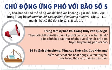 Chủ động ứng phó với bão số 5