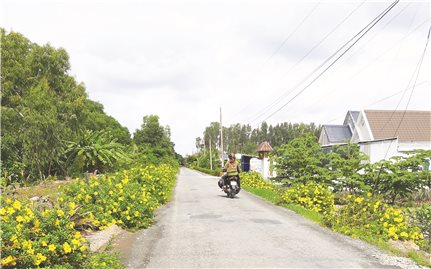 Sức sống mới ở Cầu Ngang