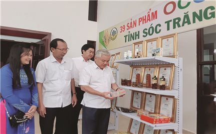 Sóc Trăng: Đưa du lịch nông thôn thành sản phẩm OCOP