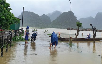 Sản xuất nông nghiệp ở miền Trung: Nỗ lực gượng dậy sau lũ lụt