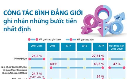 Công tác bình đẳng giới ghi nhận những bước tiến nhất định