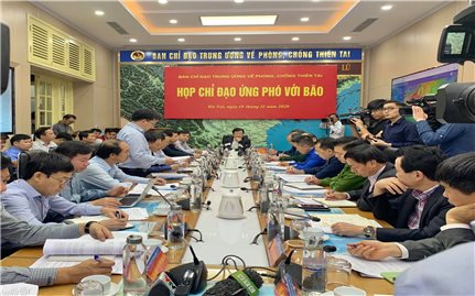 Phó Thủ tướng Trịnh Đình Dũng chủ trì họp ứng phó với bão 12 và 13