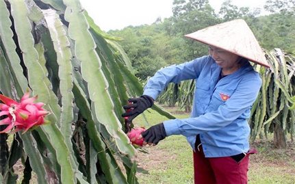 Phú Thọ: Nông dân làm giàu từ phát triển mô hình nông nghiệp