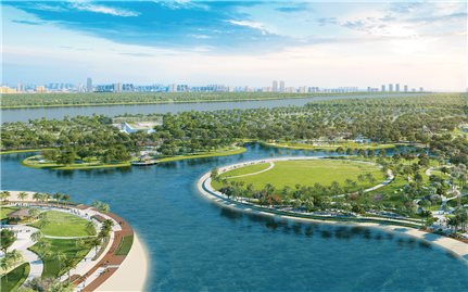 Thị trường M&A vẫn rất sôi động