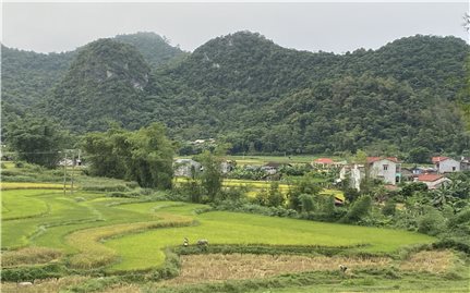 Hà Quảng (Cao Bằng): Nguồn vốn hỗ trợ sản xuất giúp đồng bào cải thiện cuộc sống