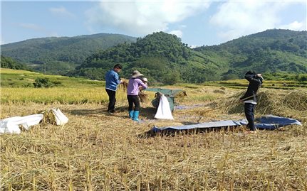 Lai Châu: Tạo sinh kế cho người dân thoát nghèo