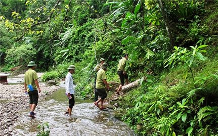 Nhân lực giữ rừng- Chuyện dài chưa có hồi kết: Áp lực cho những người ở lại (Bài 2)