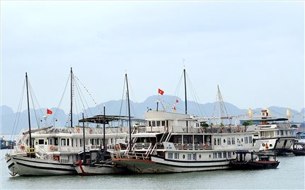 Quảng Ninh: Dịch Covid-19 tác động lớn đến đời sống người lao động