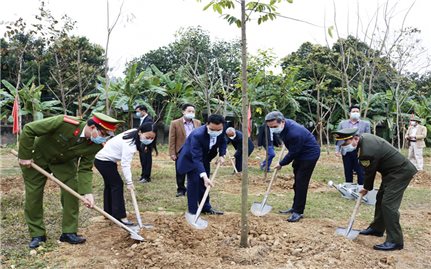 Nhiều địa phương tổ chức Tết trồng cây Xuân Tân Sửu