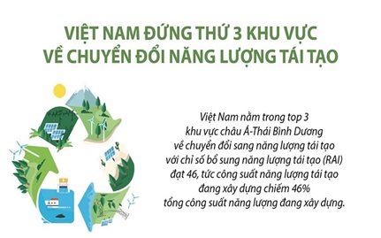 Việt Nam đứng thứ 3 khu vực về chuyển đổi năng lượng tái tạo