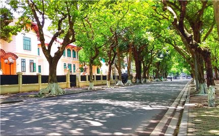 Dự báo thời tiết ngày 24/2: Bắc Bộ và Bắc Trung Bộ đêm và sáng sớm trời rét
