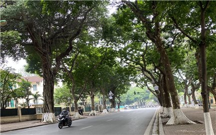 Dự báo thời tiết 10/3, miền Bắc nhiệt độ tăng dần, lạnh về đêm