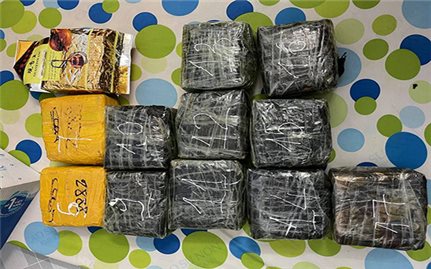Triệt phá đường dây mua bán, vận chuyển ma túy cực lớn từ Campuchia về TP Hồ Chí Minh