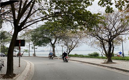 Dự báo thời tiết ngày 12/3: Miền Bắc mưa nhỏ vài nơi, sáng và đêm trời rét