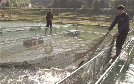 Văn Quan (Lạng Sơn): Thực hiện hiệu quả chiến lược công tác dân tộc