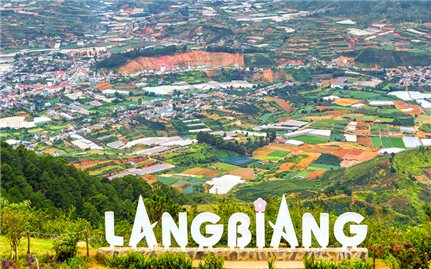 Lâm Đồng tạm thời cho thuê môi trường rừng để kinh doanh du lịch sinh thái