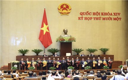 Các thành viên Chính phủ nhiệm kỳ 2016-2021 (kiện toàn tại kỳ họp thứ 11, Quốc hội khóa XIV)