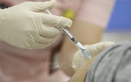 Thanh Hóa có 2,5 triệu người thuộc diện được tiêm vaccine miễn phí