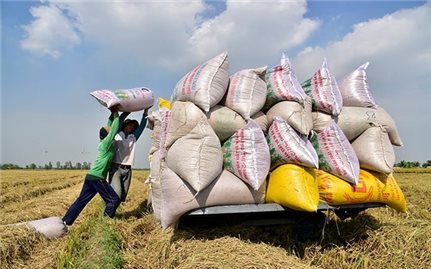 Kiên Giang hỗ trợ gần 30 tỷ đồng hỗ trợ phát triển kinh tế tập thể, hợp tác xã