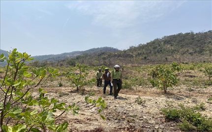 Khoảng 6 triệu hecta rừng ở Việt Nam được hỗ trợ chi trả dịch vụ môi trường rừng