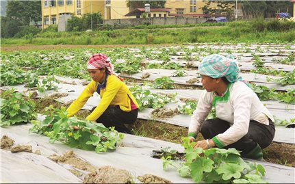 Phát huy nội lực của người dân trong công tác giảm nghèo: Nhìn từ Lào Cai