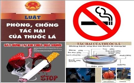 Tăng cường thực thi Luật Phòng, chống tác hại của thuốc lá và hưởng ứng Ngày Thế giới không thuốc lá