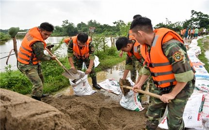 Chủ động trong phòng, chống thiên tai - Nét đẹp của dân tộc Việt Nam: Phát huy truyền thống ( Bài 1)