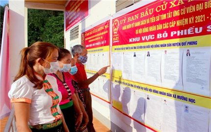 Hơn 170.500 cử tri Nghệ An và Quảng Bình đi bỏ phiếu bầu cử sớm
