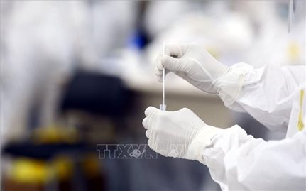 Sáng 23/5, Việt Nam ghi nhận 33 ca mắc mới COVID-19