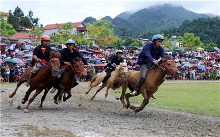 Lễ hội đua ngựa truyền thống huyện Bắc Hà được đưa vào danh mục văn hóa phi vật thể quốc gia