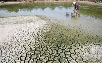 Hơn 1.000 tác phẩm tham dự cuộc thi ''Gia đình an toàn trước thiên tai, biến đổi khí hậu''