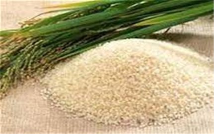 Giá lúa gạo hôm nay 24/7: Tăng giảm trái chiều