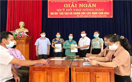 Lào Cai: Giải ngân 700 triệu đồng cho 14 hộ dân tham gia Dự án 