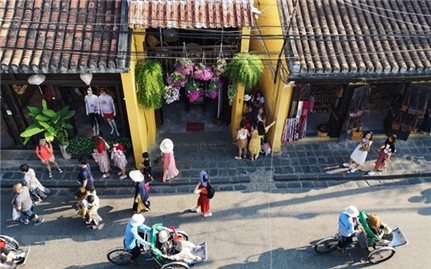 Khảo sát: Hơn 60% người Nhật Bản muốn đi du lịch Việt Nam