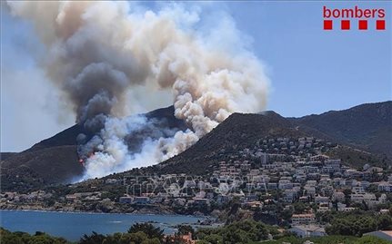 Cháy rừng tại Tây Ban Nha, 350 người phải đi sơ tán