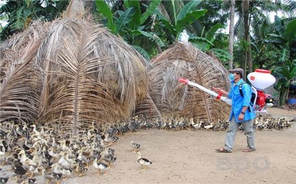 Cách phòng, chống dịch bệnh cho vật nuôi trong mùa mưa bão