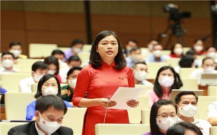 Cần tiếp tục quan tâm đến phát triển kinh tế - xã hội vùng đồng bào DTTS và miền núi