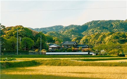 Trải nghiệm vùng đồng quê của Nhật Bản