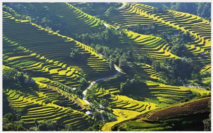Tổ chức trực tuyến Chương trình du lịch “Qua những miền di sản ruộng bậc thang” Hoàng Su Phì