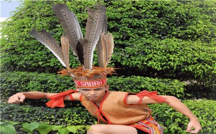 Trang sức bằng lông chim của các tộc người ở Malaysia