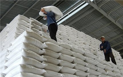Hà Nội tặng TP. Hồ Chí Minh và Bình Dương 6.000 tấn gạo