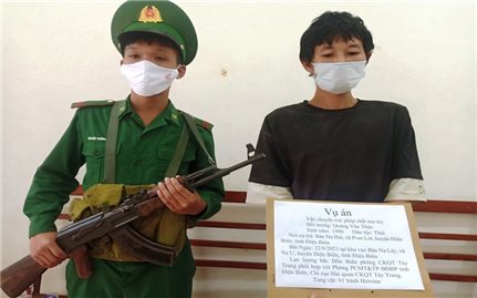 Liên tiếp phá 2 chuyên án ma túy trên khu vực biên giới Việt - Lào