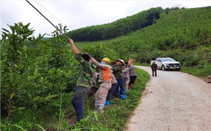 An toàn lưới điện mùa mưa bão ở Quảng Ninh: Chú trọng phương châm 