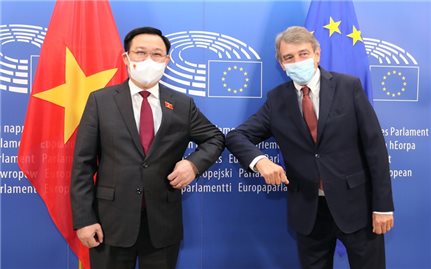 Chủ tịch Quốc hội Vương Đình Huệ hội đàm với Chủ tịch Nghị viện châu Âu