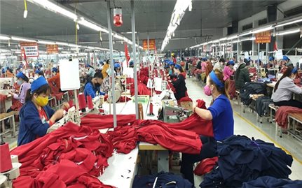 Hỗ trợ doanh nghiệp, hợp tác xã, hộ kinh doanh trong bối cảnh dịch COVID-19